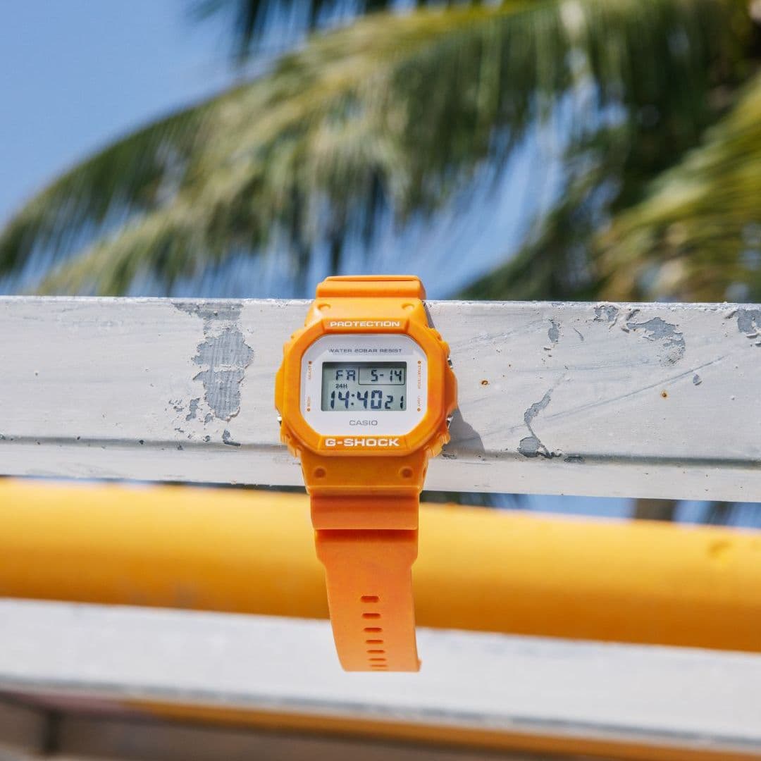 DW-5600WS-4 4